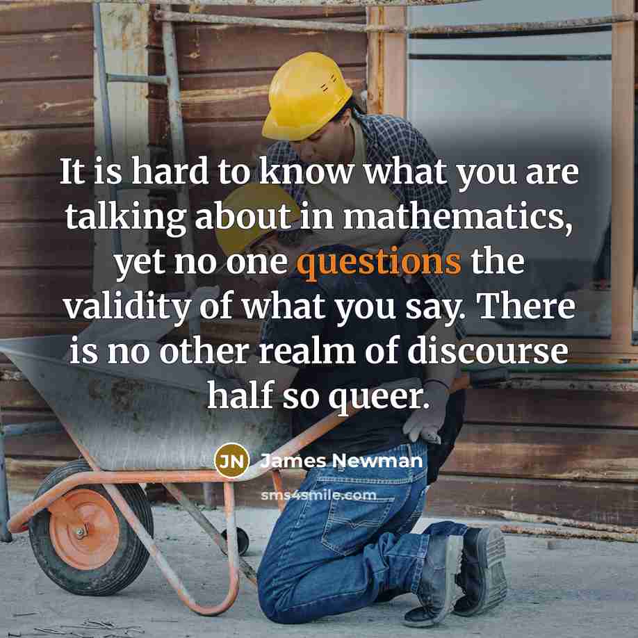 “It is hard to know what you are talking about in mathematics, yet no one questions the validity of what you say. There is no other realm of discourse half so queer.” quote by James Newman