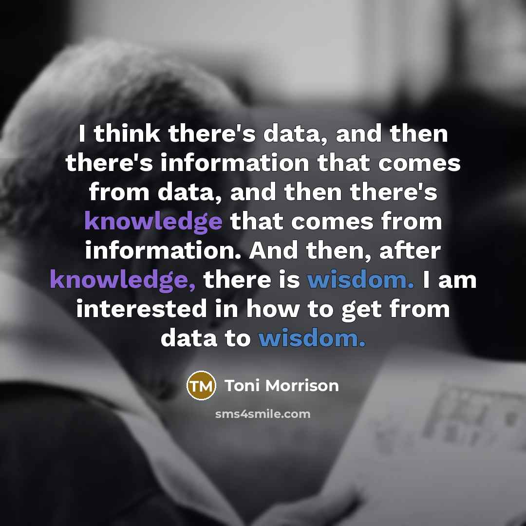 “I think there's data, and then there's information that comes from data, and then there's knowledge that comes from information. And then, after knowledge, there is wisdom. I am interested in how to get from data to wisdom.” quote by Toni Morrison
