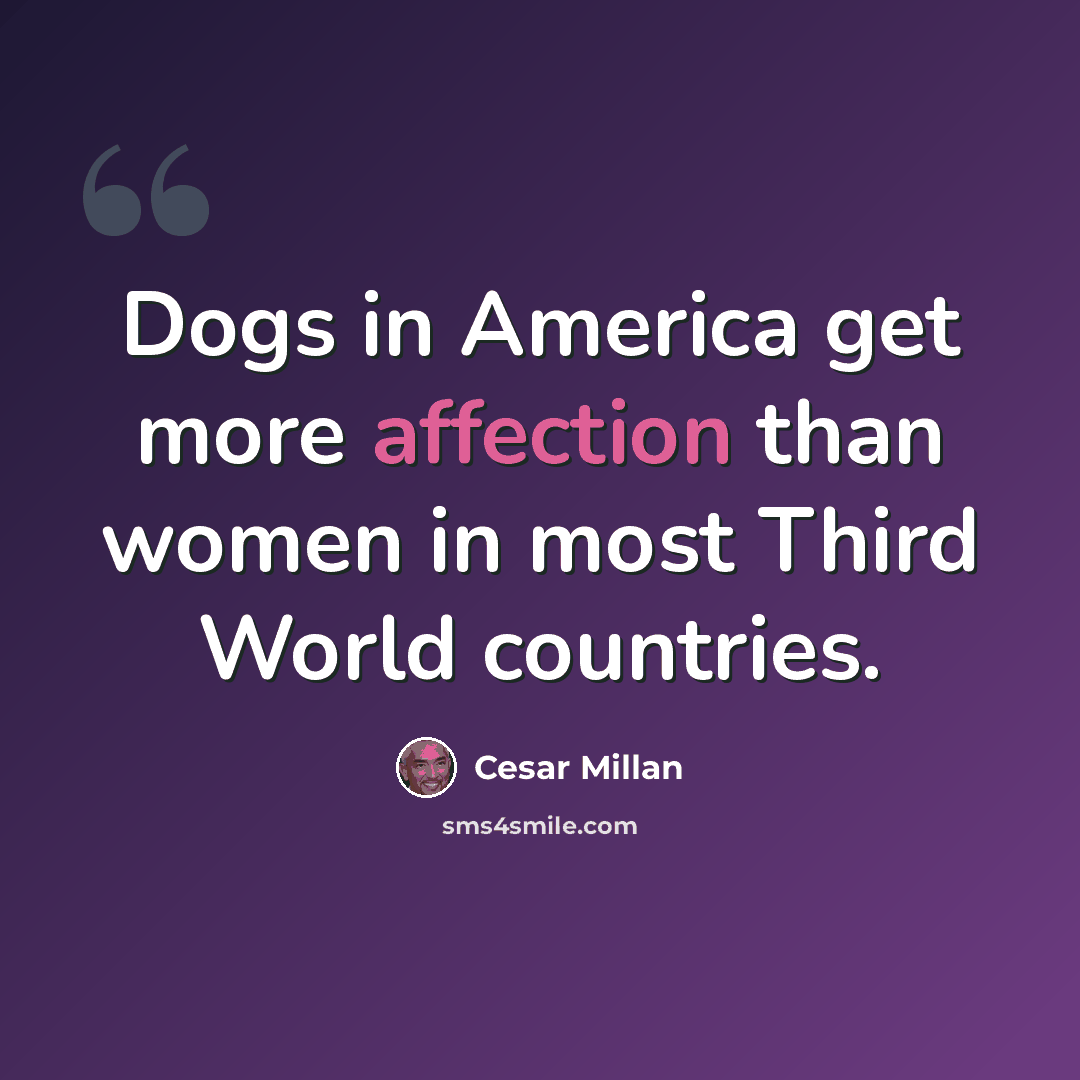“Dogs in America get more affection than women in most Third World countries.” quote by Cesar Millan