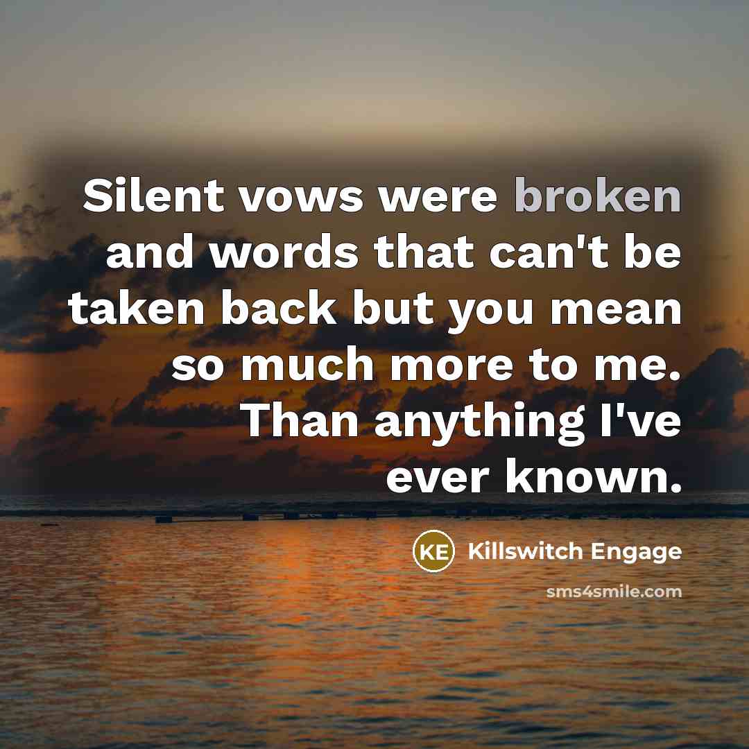 “Silent vows were broken and words that can't be taken back but you mean so much more to me. Than anything I've ever known.” quote by Killswitch Engage