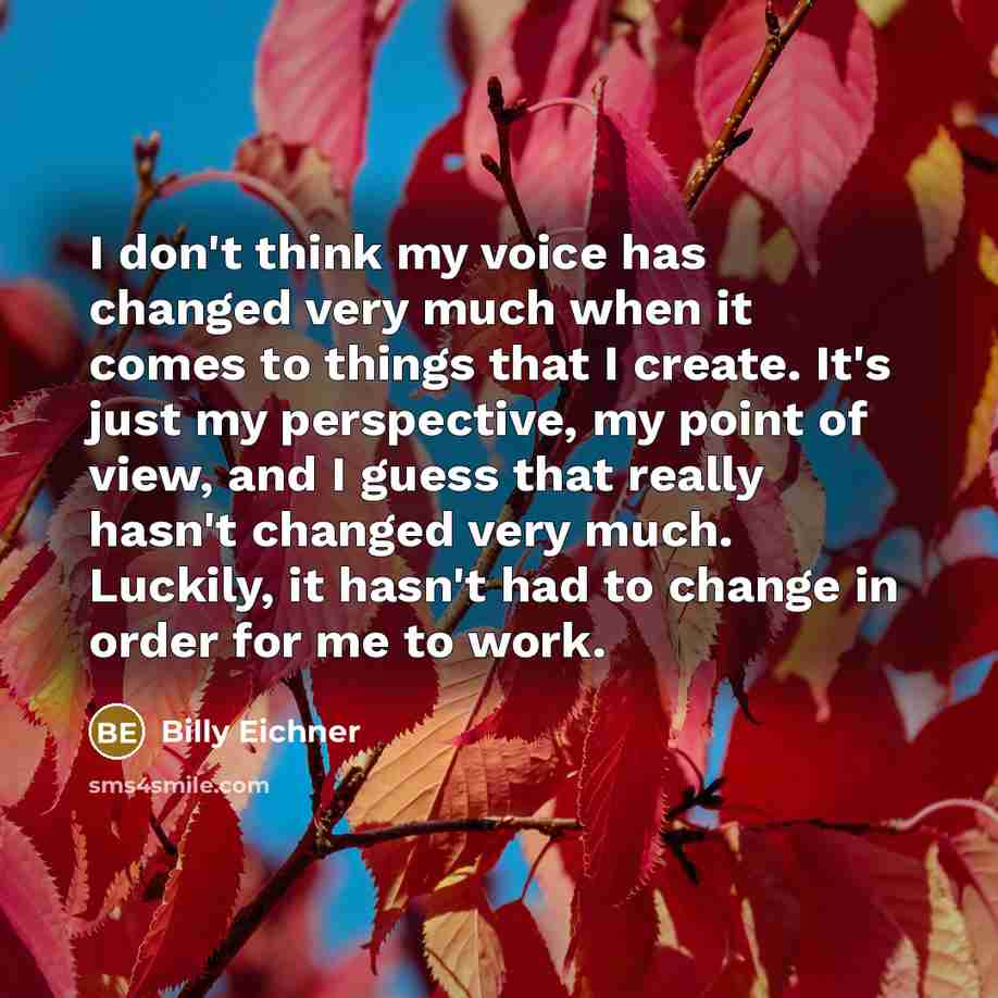 “I don't think my voice has changed very much when it comes to things that I create. It's just my perspective, my point of view, and I guess that really hasn't changed very much. Luckily, it hasn't had to change in order for me to work.” quote by Billy Eichner