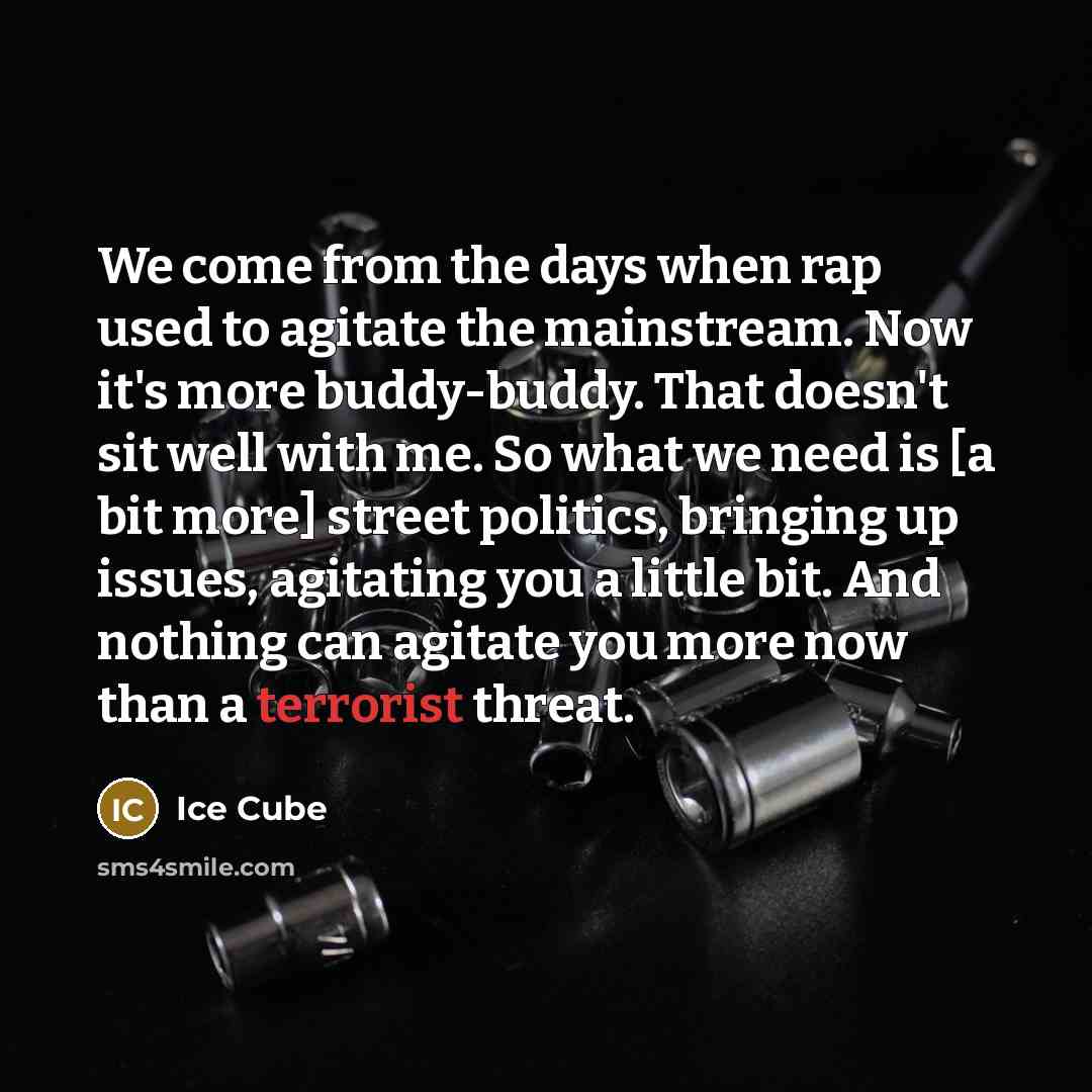 “We come from the days when rap used to agitate the mainstream. Now it's more buddy-buddy. That doesn't sit well with me. So what we need is [a bit more] street politics, bringing up issues, agitating you a little bit. And nothing can agitate you more now than a terrorist threat.” quote by Ice Cube