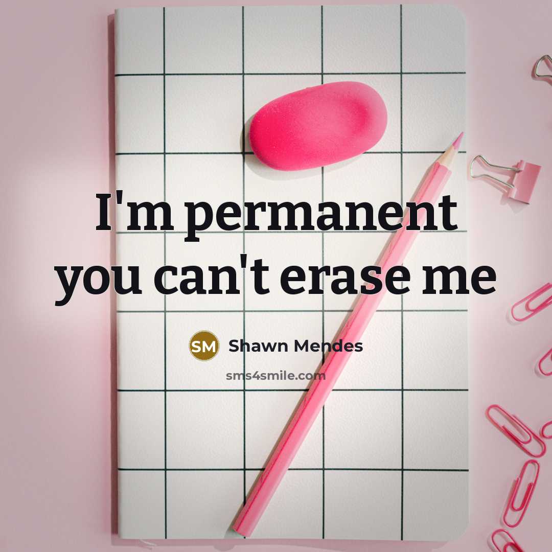 “I'm permanent you can't erase me” quote by Shawn Mendes
