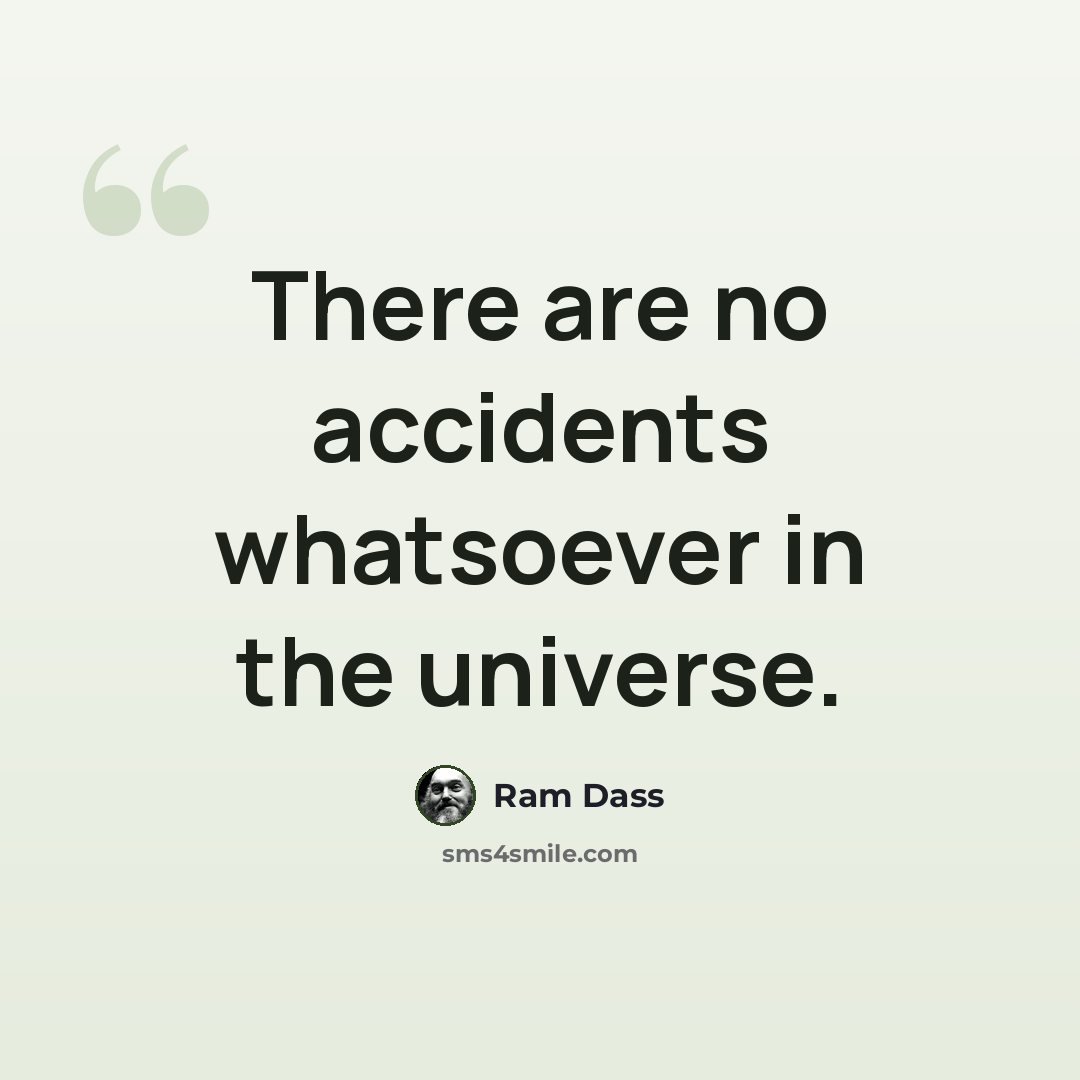 “There are no accidents whatsoever in the universe.” quote by Ram Dass