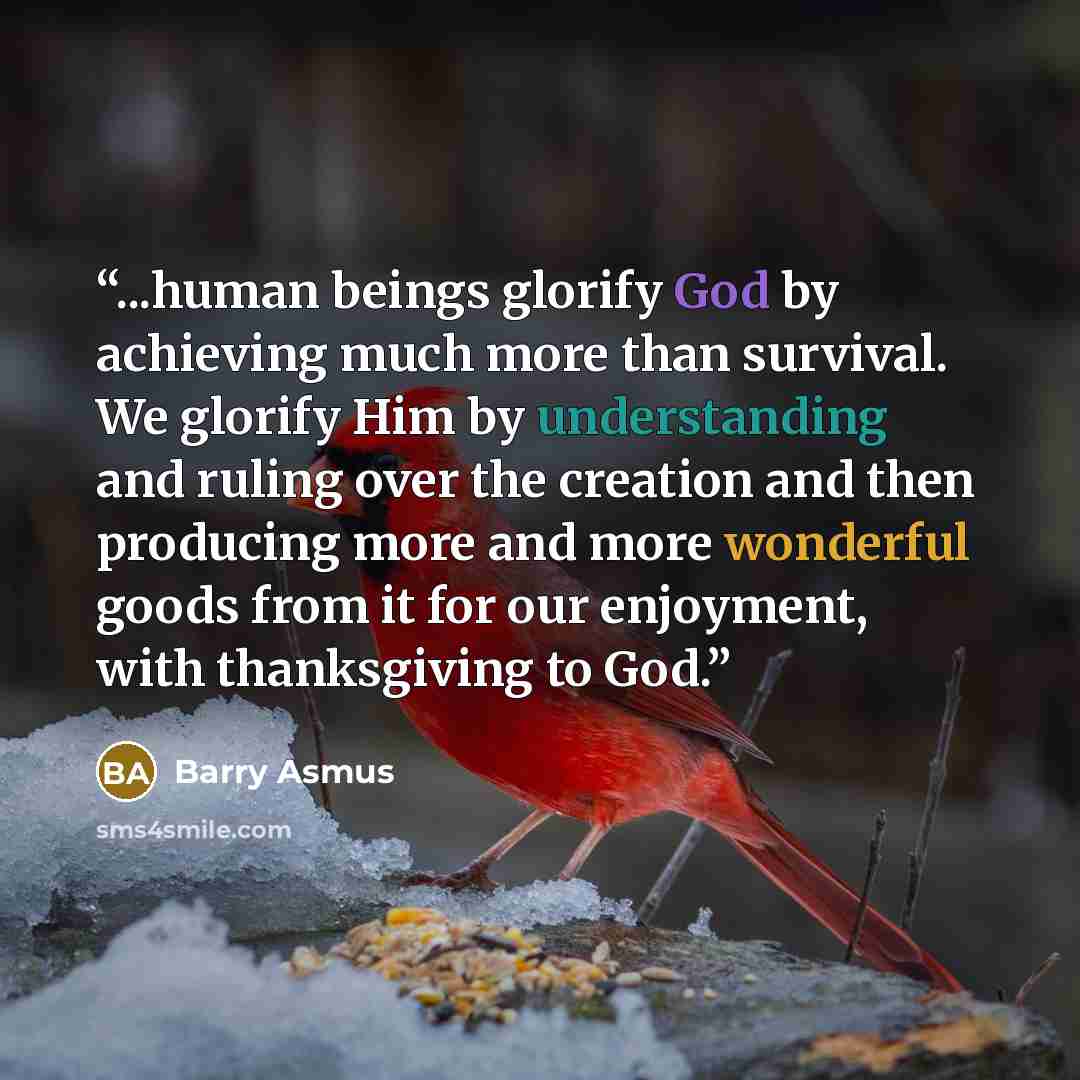 “...human beings glorify God by achieving much more than survival. We glorify Him by understanding and ruling over the creation and then producing more and more wonderful goods from it for our enjoyment, with thanksgiving to God.” quote by Barry Asmus