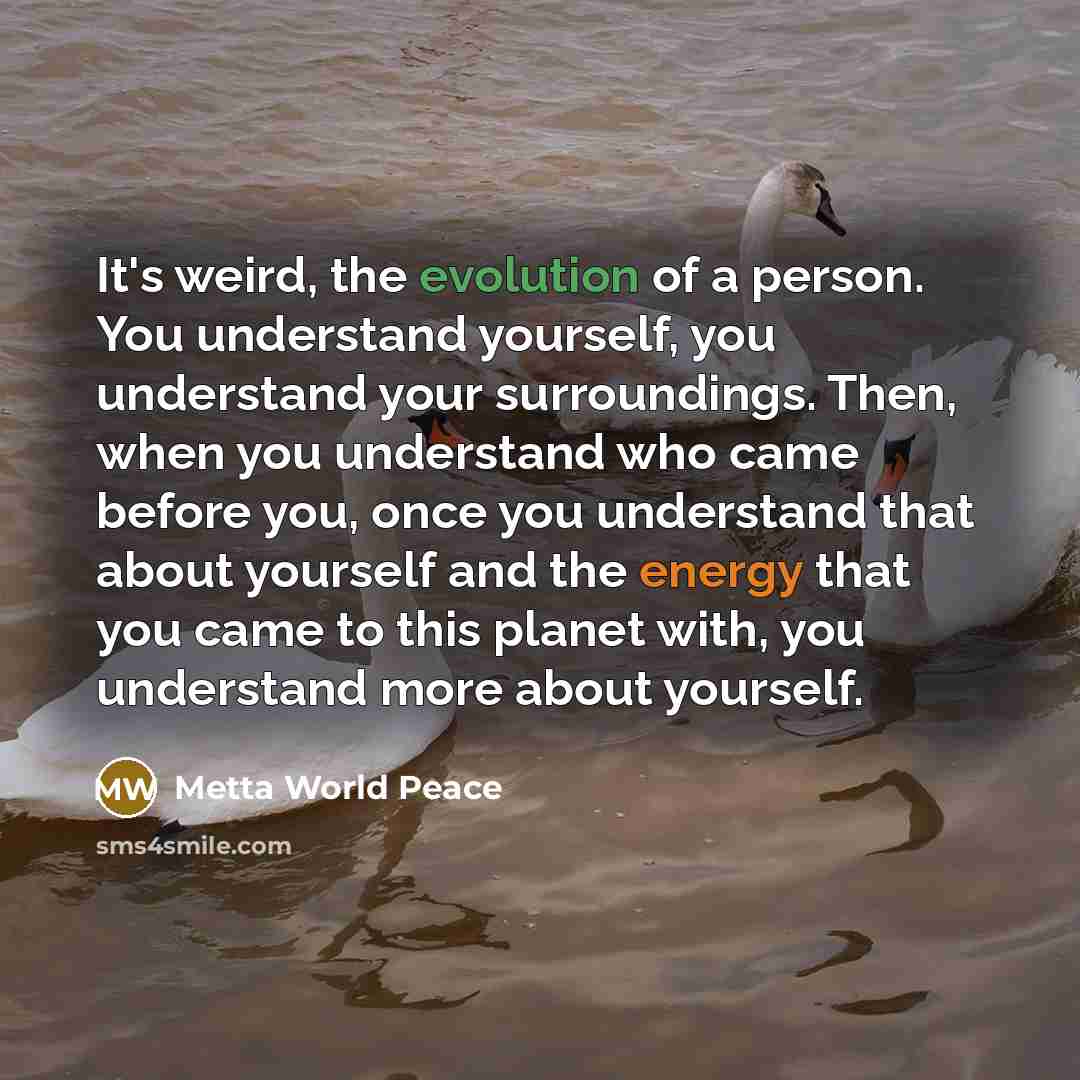 “It's weird, the evolution of a person. You understand yourself, you understand your surroundings. Then, when you understand who came before you, once you understand that about yourself and the energy that you came to this planet with, you understand more about yourself.” quote by Metta World Peace