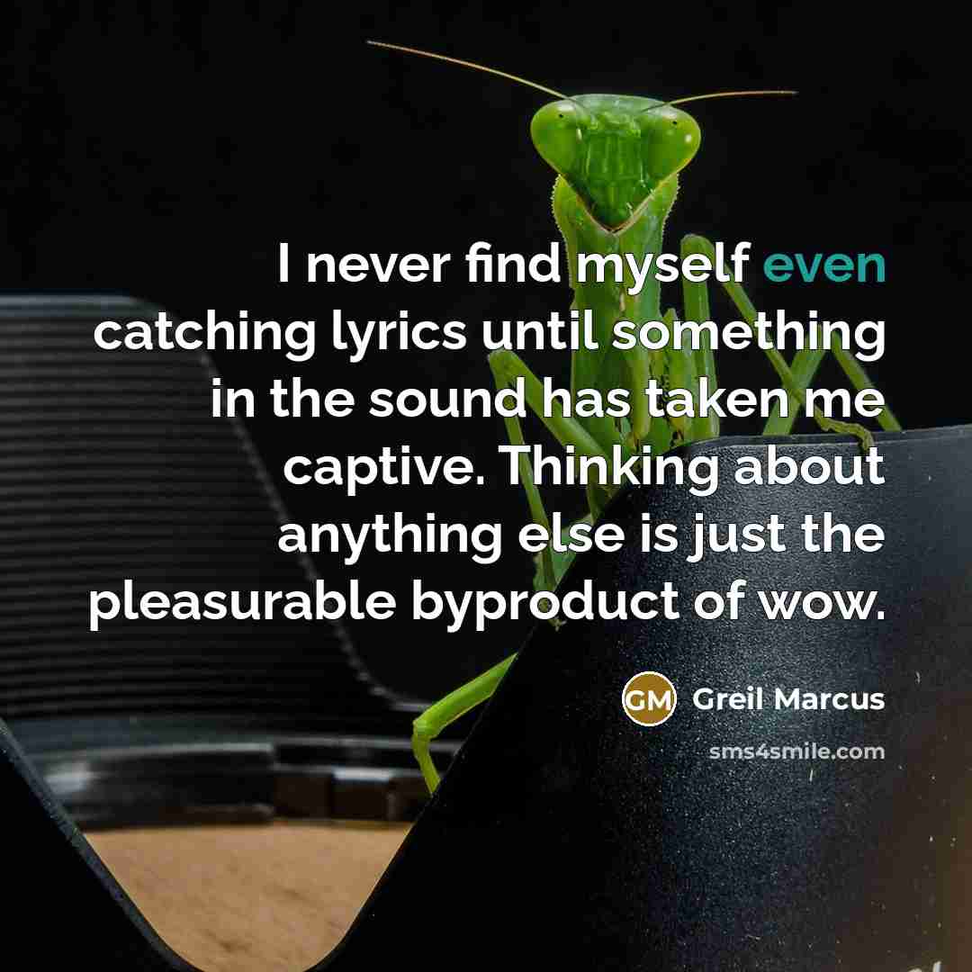 “I never find myself even catching lyrics until something in the sound has taken me captive. Thinking about anything else is just the pleasurable byproduct of wow.” quote by Greil Marcus