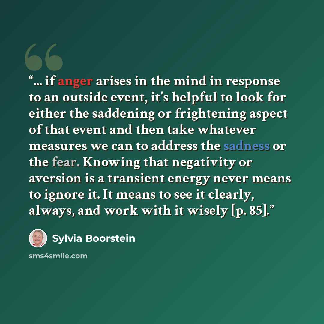 “... if anger arises in the mind in response to an outside event, it's helpful to look for either the saddening or frightening aspect of that event and then take whatever measures we can to address the sadness or the fear. Knowing that negativity or aversion is a transient energy never means to…” quote by Sylvia Boorstein