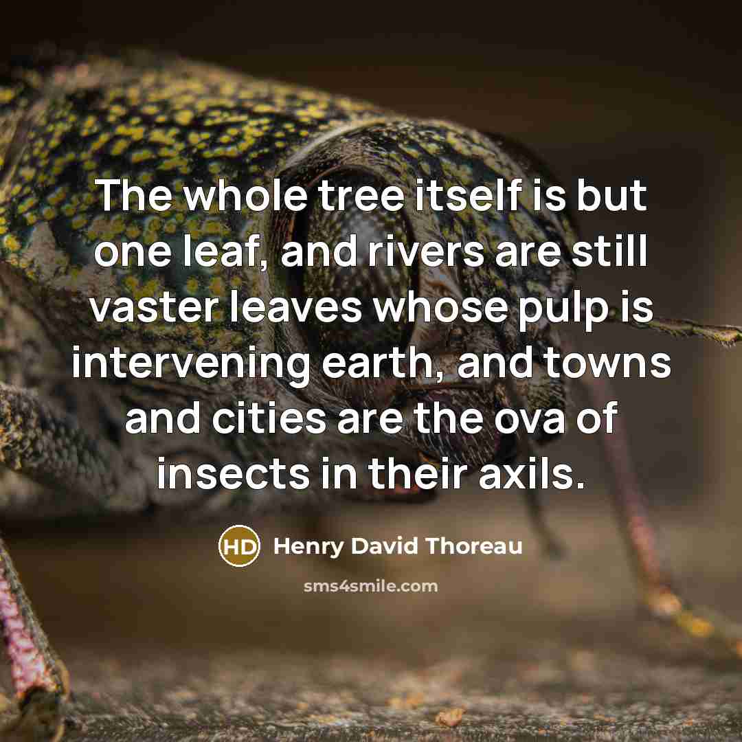 “The whole tree itself is but one leaf, and rivers are still vaster leaves whose pulp is intervening earth, and towns and cities are the ova of insects in their axils.” quote by Henry David Thoreau