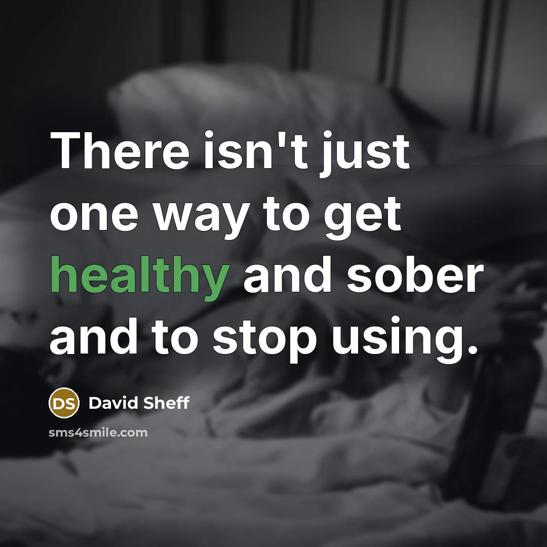 “There isn't just one way to get healthy and sober and to stop using.” quote by David Sheff