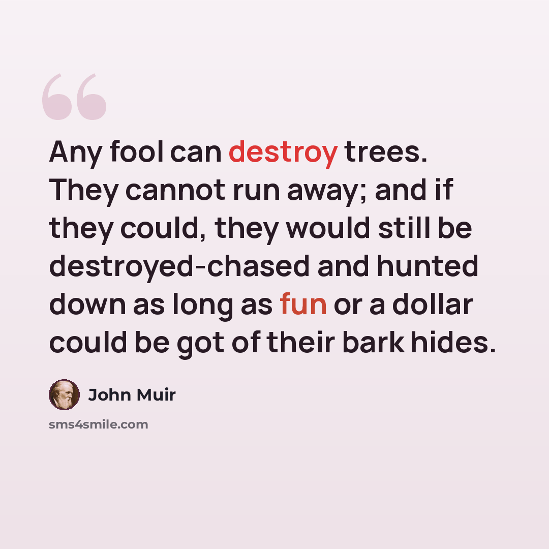 “Any fool can destroy trees. They cannot run away; and if they could, they would still be destroyed-chased and hunted down as long as fun or a dollar could be got of their bark hides.” quote by John Muir