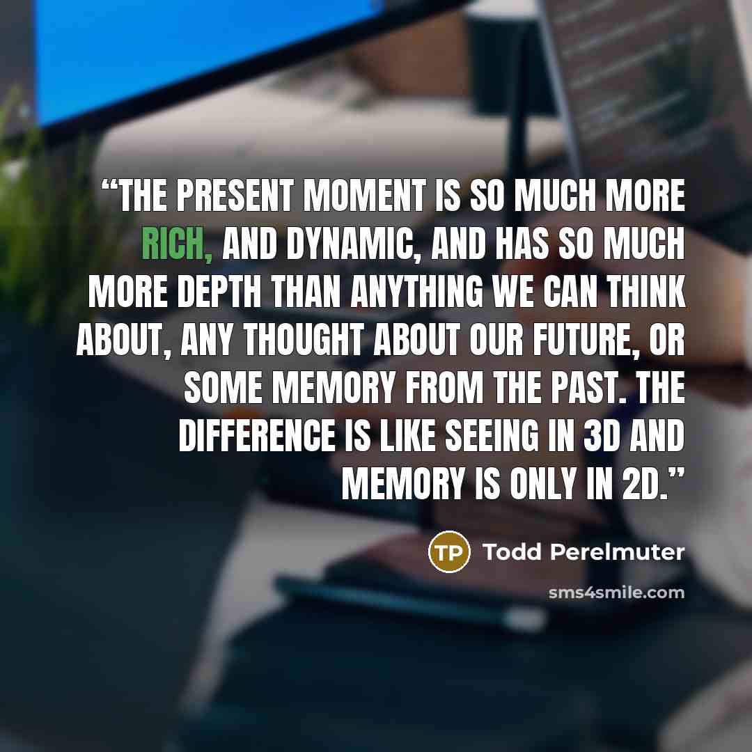 “The present moment is so much more rich, and dynamic, and has so much more depth than anything we can think about, any thought about our future, or some memory from the past. The difference is like seeing in 3D and memory is only in 2D.” quote by Todd Perelmuter