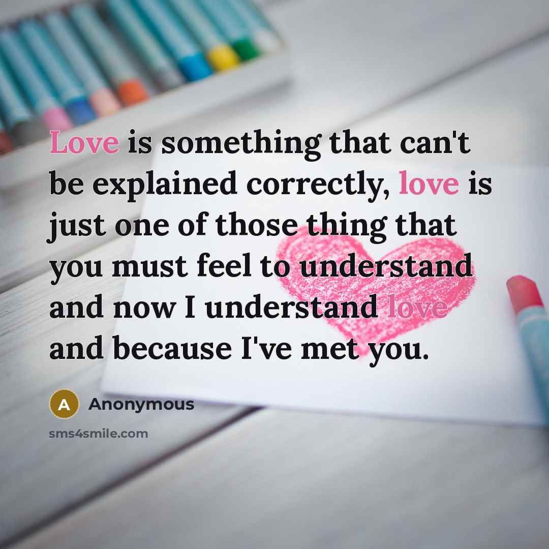 “Love is something that can't be explained correctly, love is just one of those thing that you must feel to understand and now I understand love and because I've met you.” quote by Anonymous