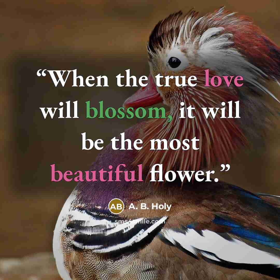 “When the true love will blossom, it will be the most beautiful flower.” quote by A. B. Holy
