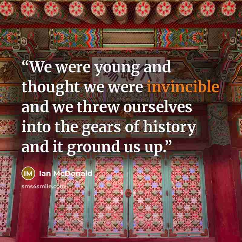 “We were young and thought we were invincible and we threw ourselves into the gears of history and it ground us up.” quote by Ian McDonald