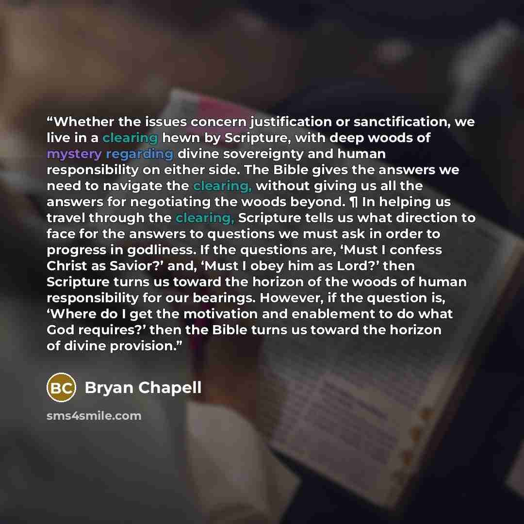 “Whether the issues concern justification or sanctification, we live in a clearing hewn by Scripture, with deep woods of mystery regarding divine sovereignty and human responsibility on either side. The Bible gives the answers we need to navigate the clearing, without giving us all the answers for…” quote by Bryan Chapell