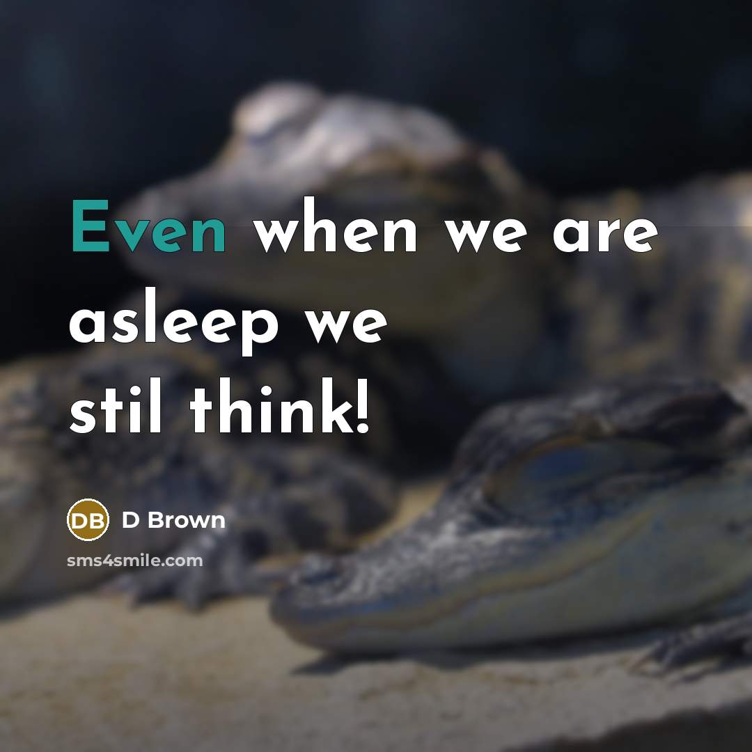 “Even when we are asleep we stil think!” quote by D Brown