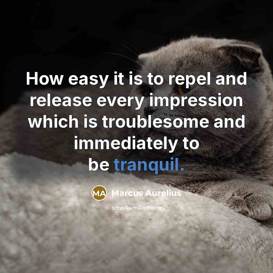 “How easy it is to repel and release every impression which is troublesome and immediately to be tranquil.” quote by Marcus Aurelius