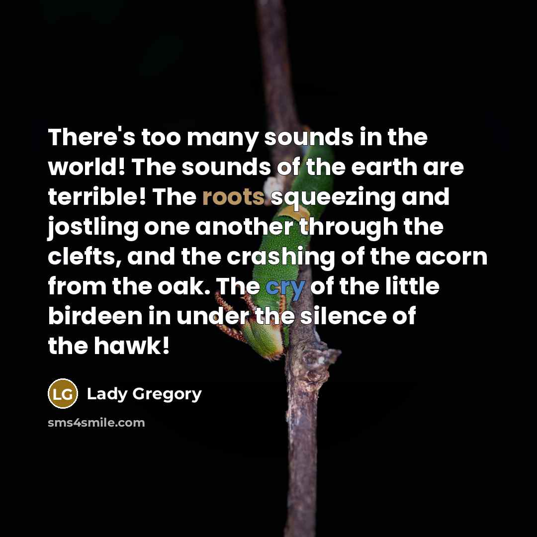 “There's too many sounds in the world! The sounds of the earth are terrible! The roots squeezing and jostling one another through the clefts, and the crashing of the acorn from the oak. The cry of the little birdeen in under the silence of the hawk!” quote by Lady Gregory