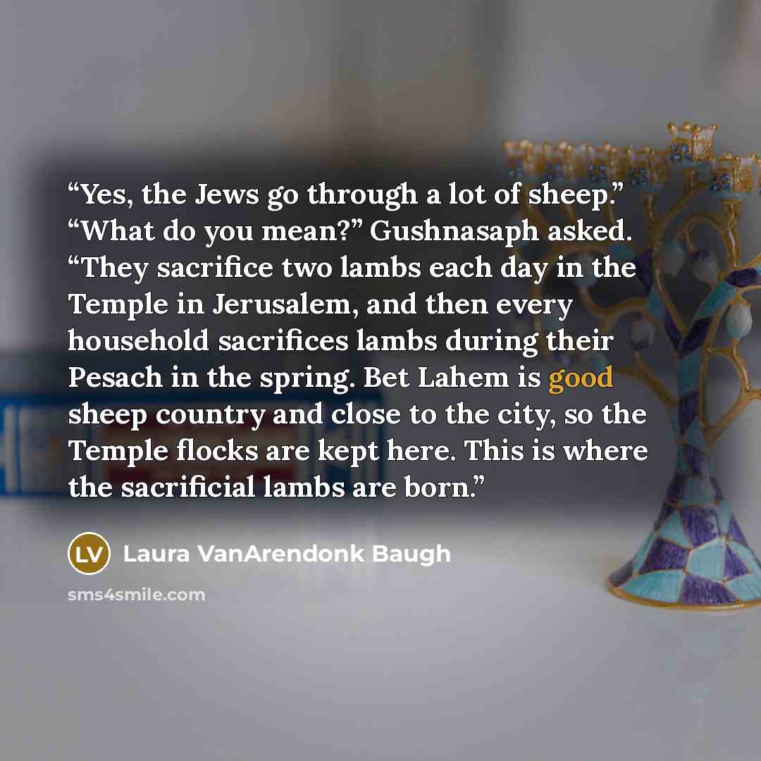 “Yes, the Jews go through a lot of sheep.” “What do you mean?” Gushnasaph asked. “They sacrifice two lambs each day in the Temple in Jerusalem, and then every household sacrifices lambs during their Pesach in the spring. Bet Lahem is good sheep country and close to the city, so the Temple flocks…” quote by Laura VanArendonk Baugh