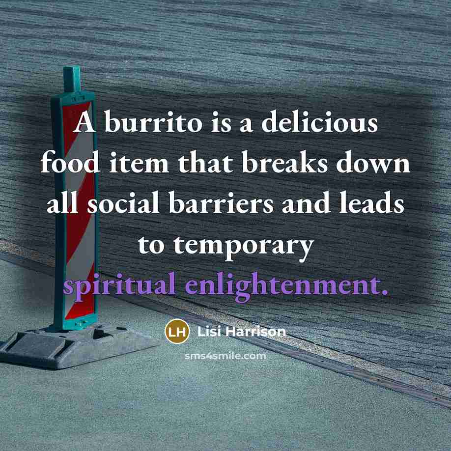 “A burrito is a delicious food item that breaks down all social barriers and leads to temporary spiritual enlightenment.” quote by Lisi Harrison