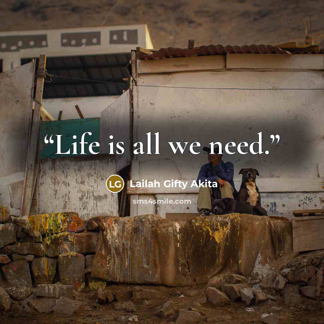 “Life is all we need.” quote by Lailah Gifty Akita