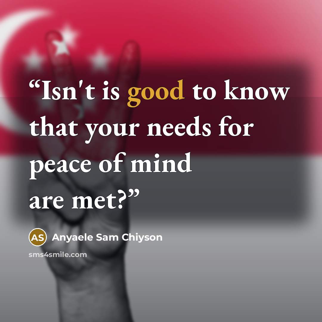 “Isn't is good to know that your needs for peace of mind are met?” quote by Anyaele Sam Chiyson