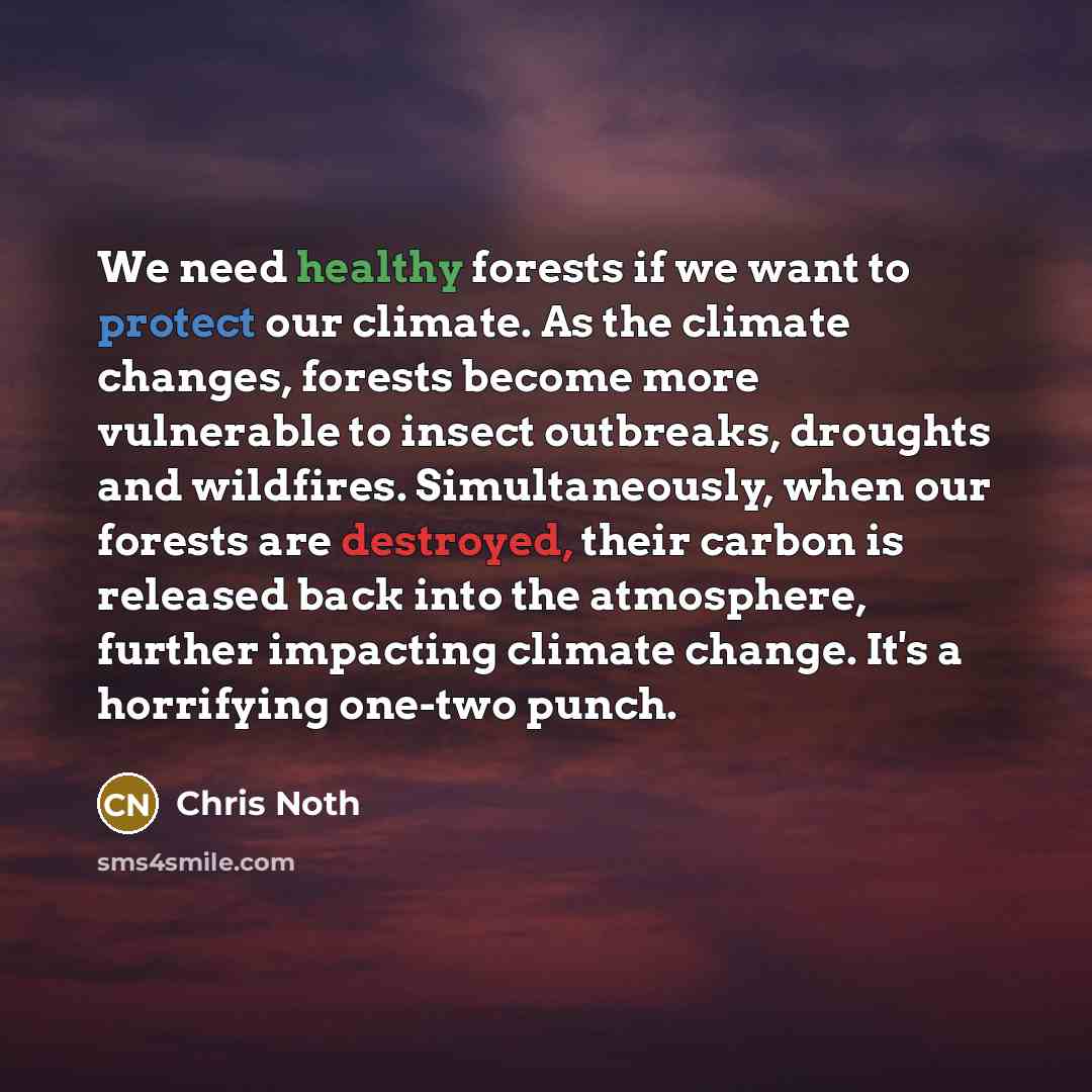 “We need healthy forests if we want to protect our climate. As the climate changes, forests become more vulnerable to insect outbreaks, droughts and wildfires. Simultaneously, when our forests are destroyed, their carbon is released back into the atmosphere, further impacting climate change. It's a…” quote by Chris Noth