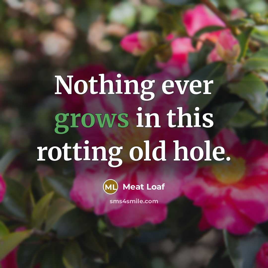 “Nothing ever grows in this rotting old hole.” quote by Meat Loaf