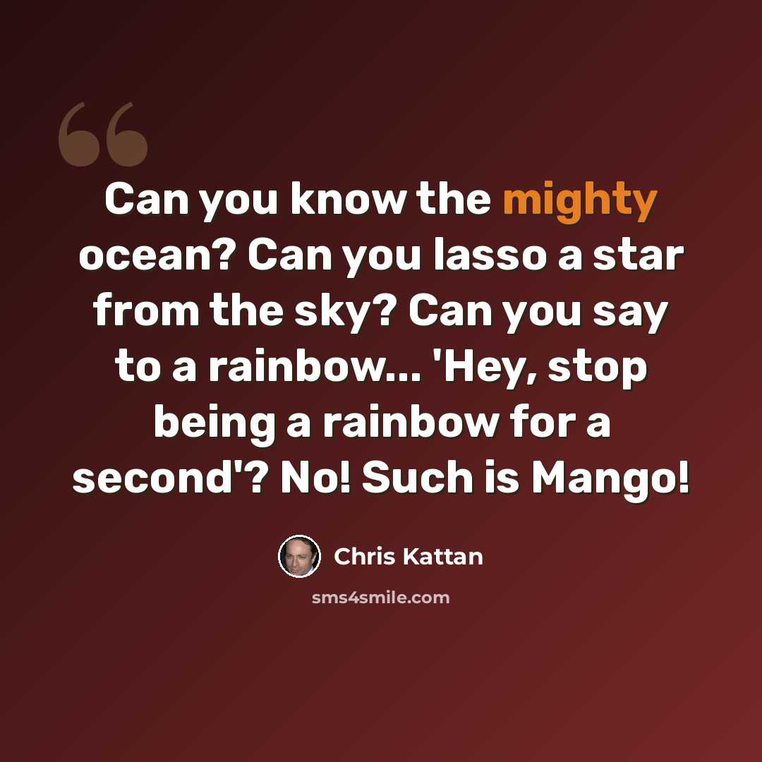 “Can you know the mighty ocean? Can you lasso a star from the sky? Can you say to a rainbow... 'Hey, stop being a rainbow for a second'? No! Such is Mango!” quote by Chris Kattan