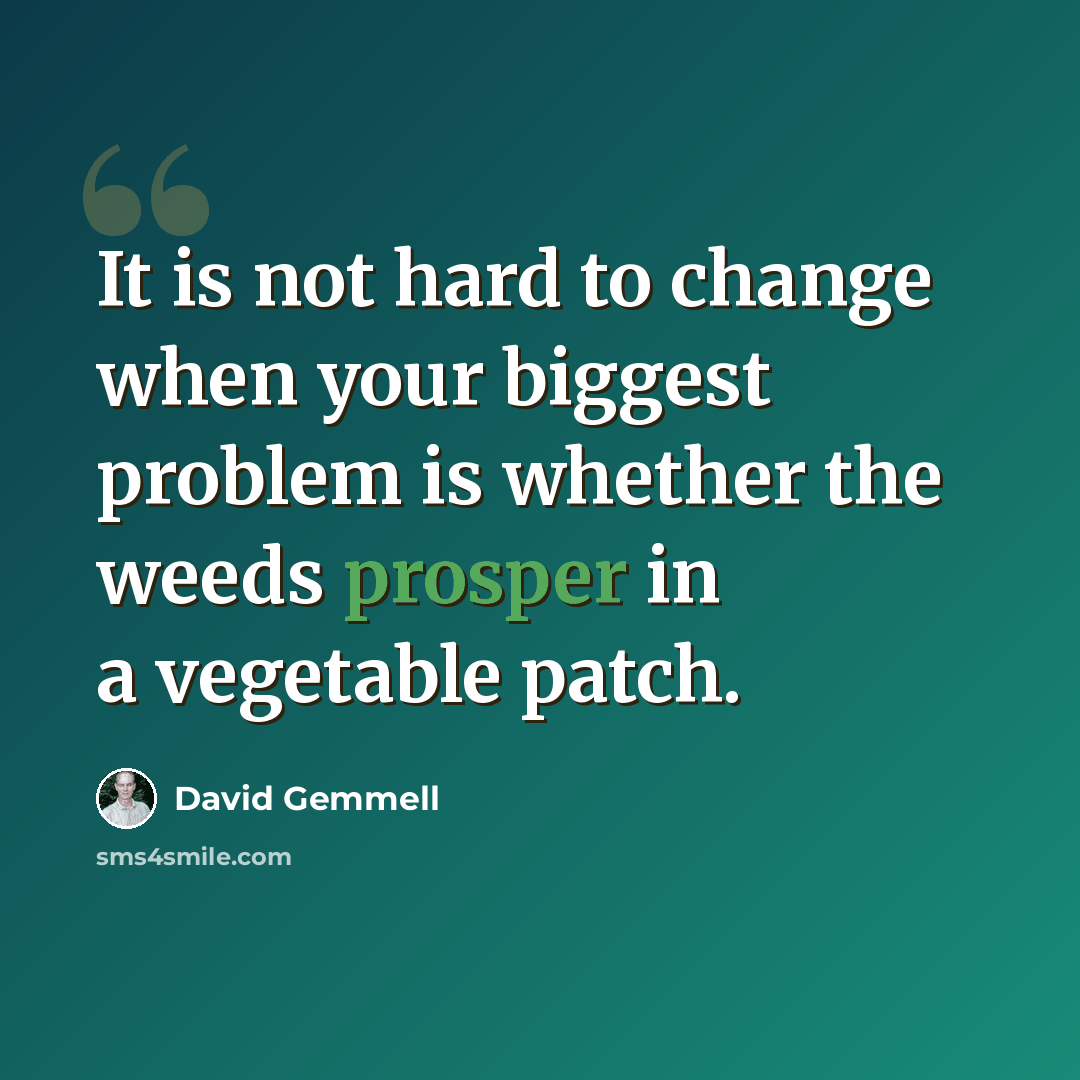 “It is not hard to change when your biggest problem is whether the weeds prosper in a vegetable patch.” quote by David Gemmell
