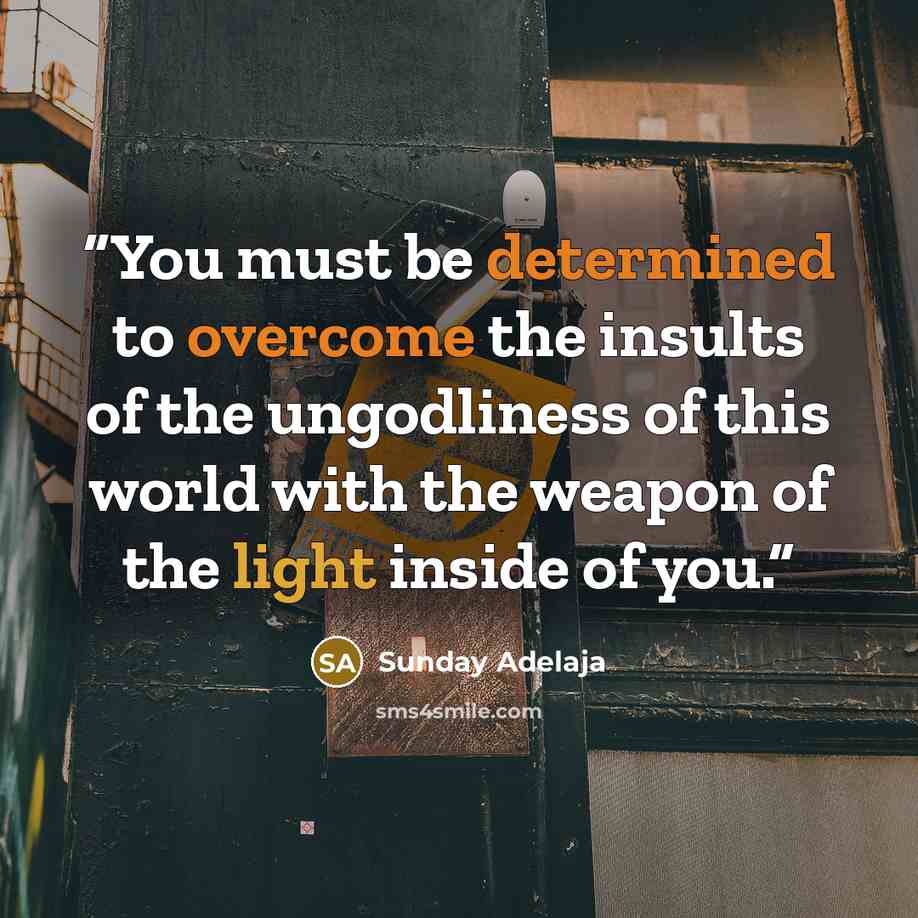 “You must be determined to overcome the insults of the ungodliness of this world with the weapon of the light inside of you.” quote by Sunday Adelaja