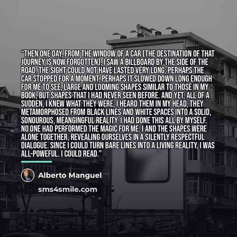“Then one day, from the window of a car (the destination of that journey is now forgotten), I saw a billboard by the side of the road. The sight could not have lasted very long; perhaps the car stopped for a moment, perhaps it slowed down long enough for me to see, large and looming shapes similar…” quote by Alberto Manguel