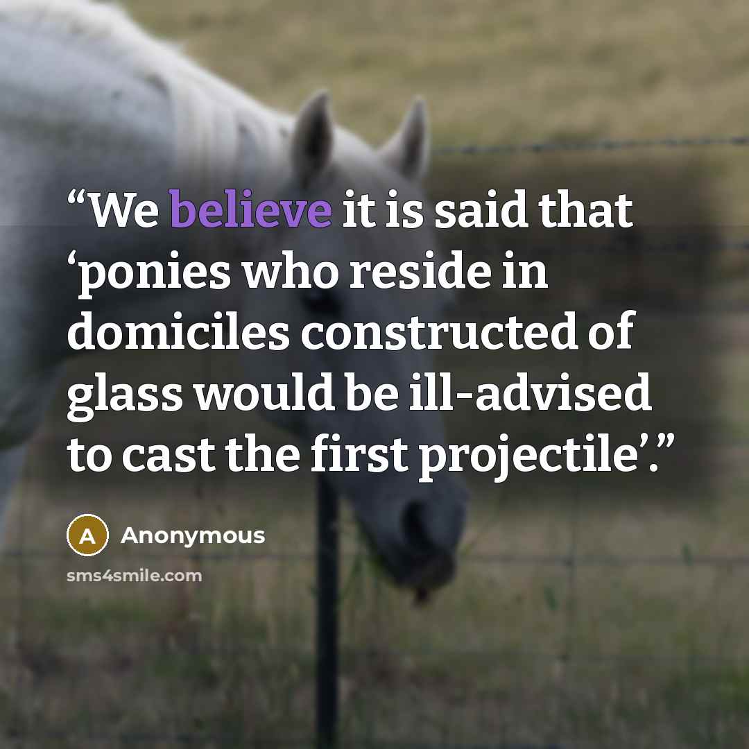 “We believe it is said that ‘ponies who reside in domiciles constructed of glass would be ill-advised to cast the first projectile’.” quote by Anonymous