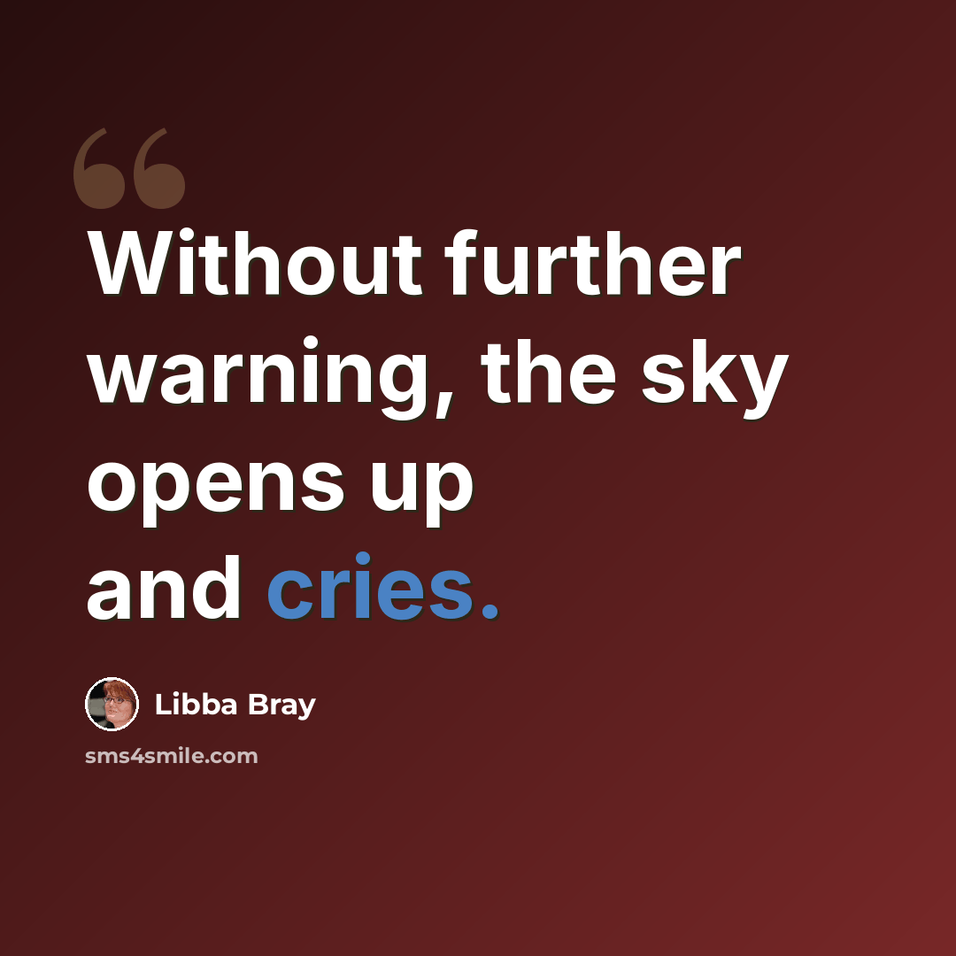 “Without further warning, the sky opens up and cries.” quote by Libba Bray