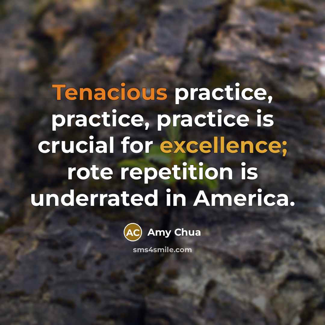 “Tenacious practice, practice, practice is crucial for excellence; rote repetition is underrated in America.” quote by Amy Chua