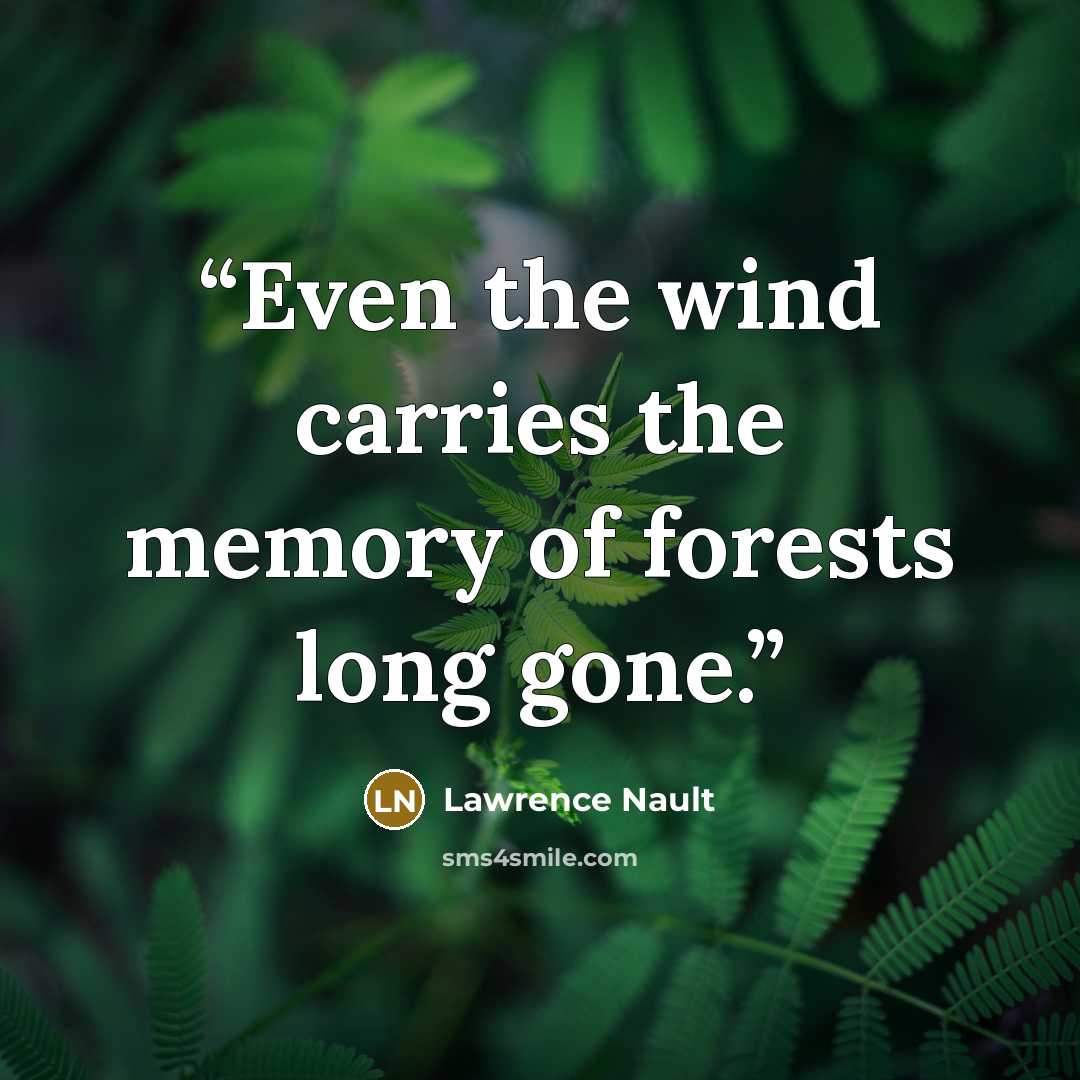 “Even the wind carries the memory of forests long gone.” quote by Lawrence Nault