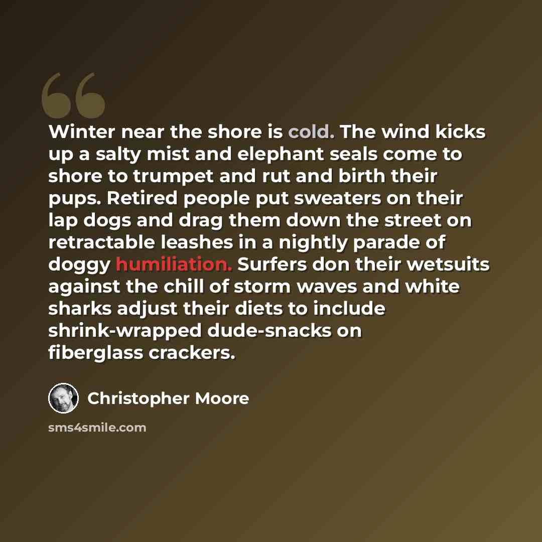 “Winter near the shore is cold. The wind kicks up a salty mist and elephant seals come to shore to trumpet and rut and birth their pups. Retired people put sweaters on their lap dogs and drag them down the street on retractable leashes in a nightly parade of doggy humiliation. Surfers don their…” quote by Christopher Moore