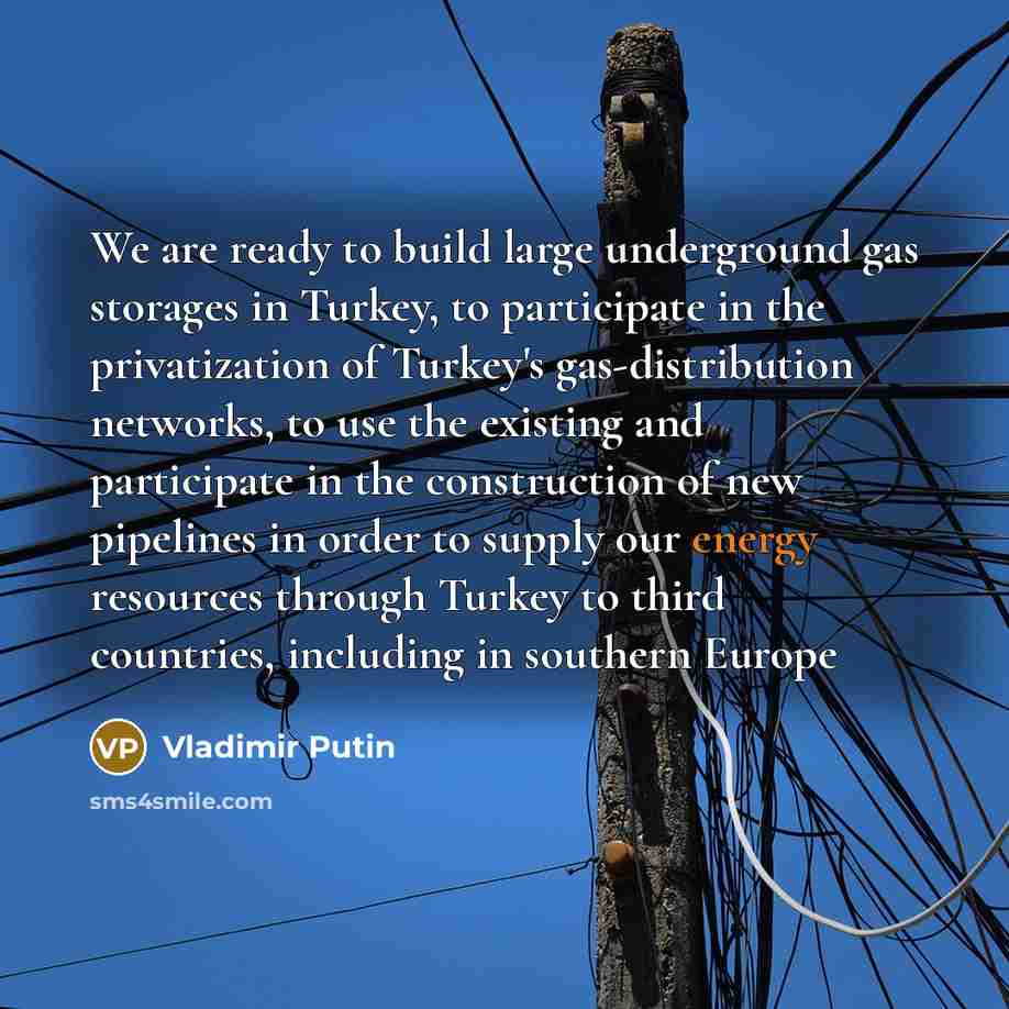 “We are ready to build large underground gas storages in Turkey, to participate in the privatization of Turkey's gas-distribution networks, to use the existing and participate in the construction of new pipelines in order to supply our energy resources through Turkey to third countries, including…” quote by Vladimir Putin