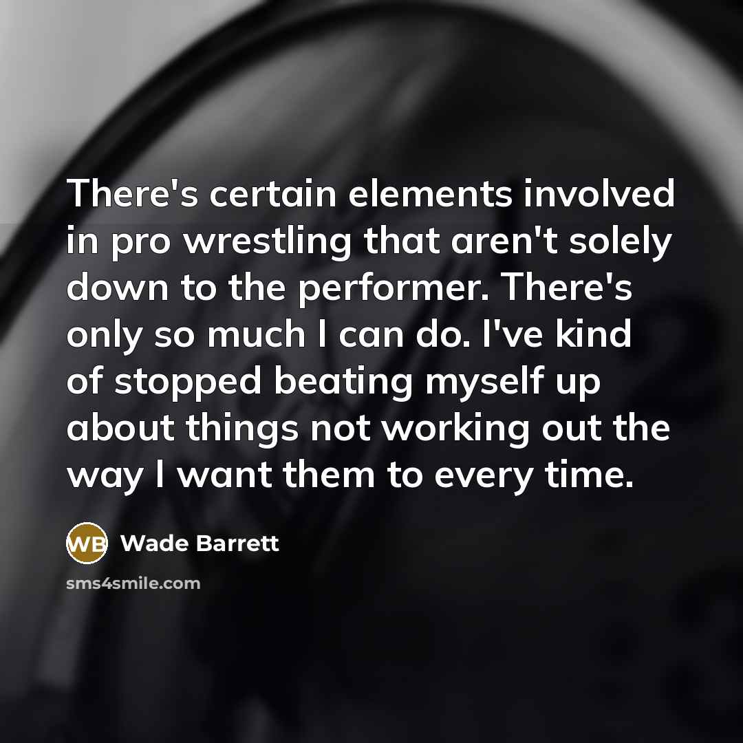 “There's certain elements involved in pro wrestling that aren't solely down to the performer. There's only so much I can do. I've kind of stopped beating myself up about things not working out the way I want them to every time.” quote by Wade Barrett