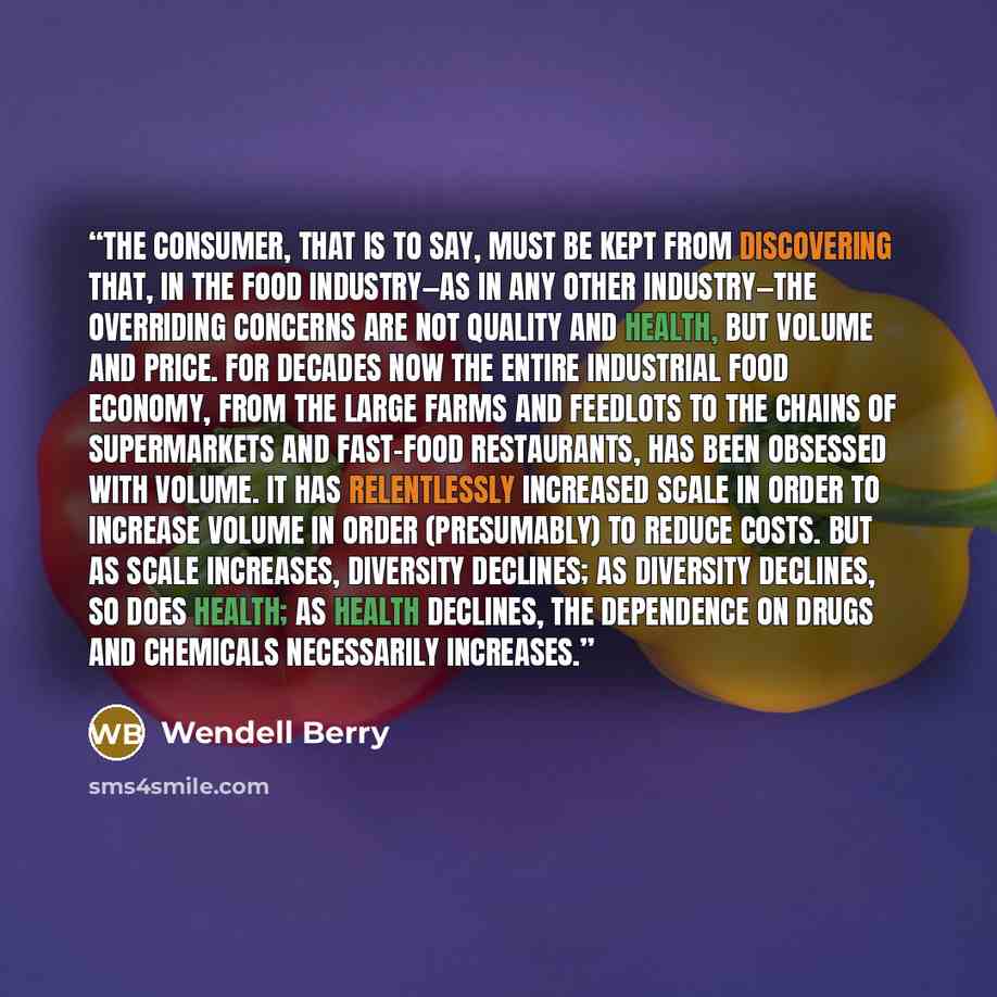 “The consumer, that is to say, must be kept from discovering that, in the food industry—as in any other industry—the overriding concerns are not quality and health, but volume and price. For decades now the entire industrial food economy, from the large farms and feedlots to the chains of…” quote by Wendell Berry
