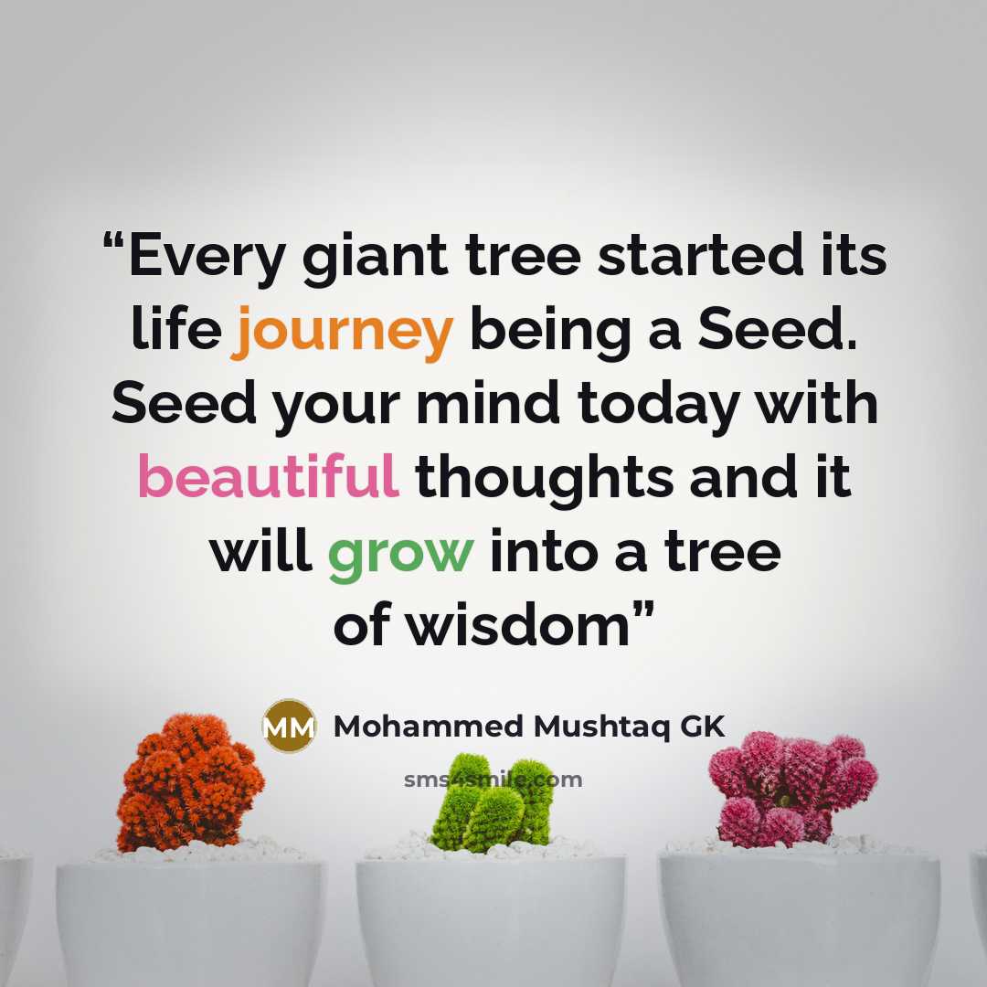 “Every giant tree started its life journey being a Seed. Seed your mind today with beautiful thoughts and it will grow into a tree of wisdom” quote by Mohammed Mushtaq GK