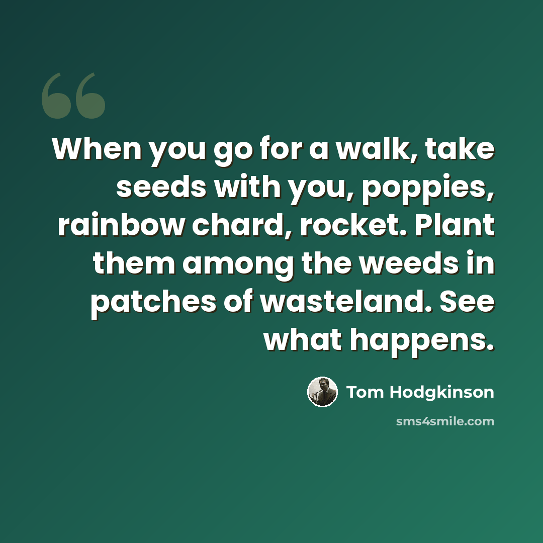 “When you go for a walk, take seeds with you, poppies, rainbow chard, rocket. Plant them among the weeds in patches of wasteland. See what happens.” quote by Tom Hodgkinson