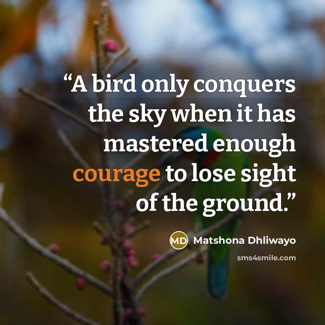 “A bird only conquers the sky when it has mastered enough courage to lose sight of the ground.” quote by Matshona Dhliwayo