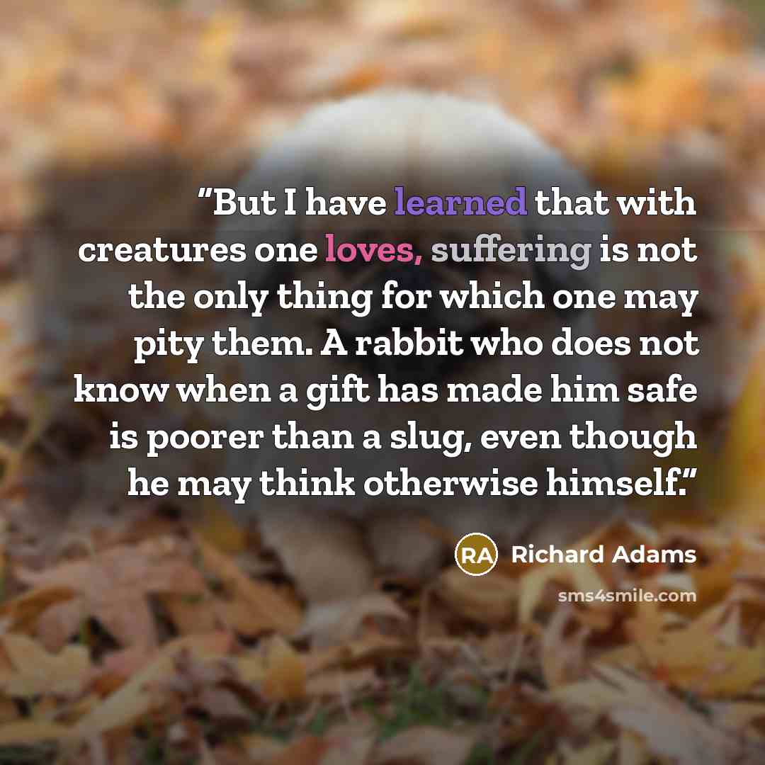 “But I have learned that with creatures one loves, suffering is not the only thing for which one may pity them. A rabbit who does not know when a gift has made him safe is poorer than a slug, even though he may think otherwise himself.” quote by Richard Adams