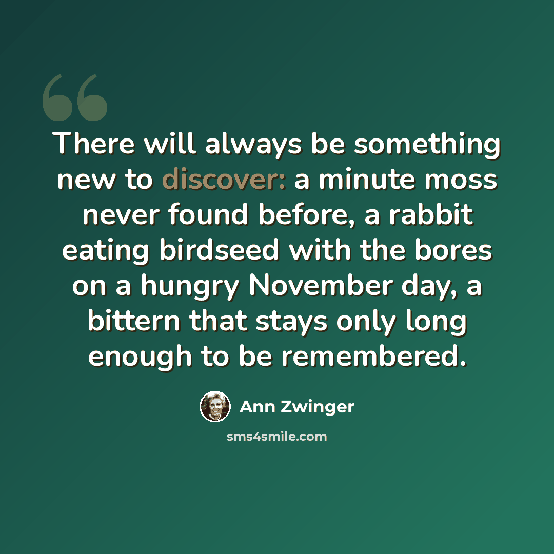 “There will always be something new to discover: a minute moss never found before, a rabbit eating birdseed with the bores on a hungry November day, a bittern that stays only long enough to be remembered.” quote by Ann Zwinger