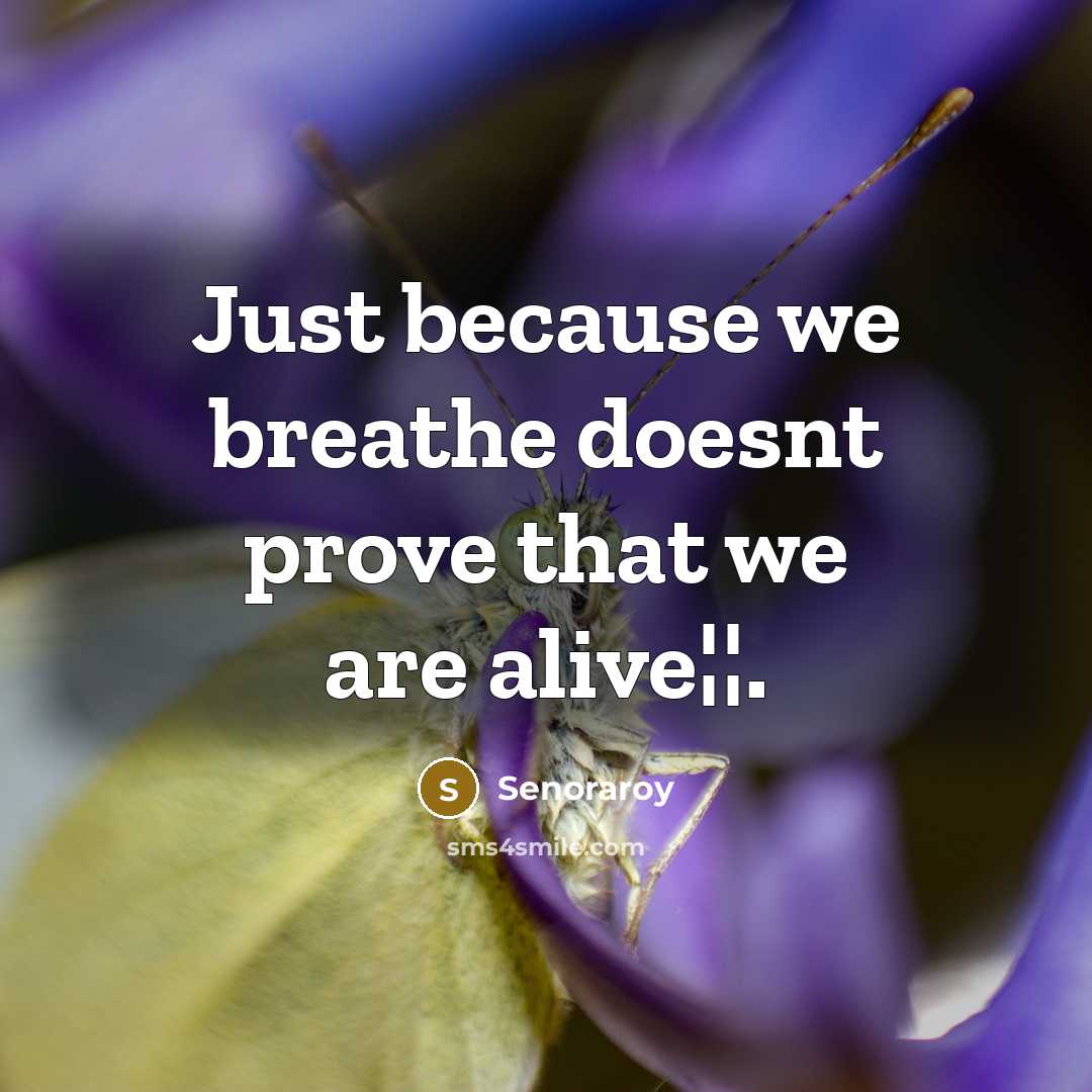 “Just because we breathe doesnt prove that we are alive¦¦.” quote by Senoraroy