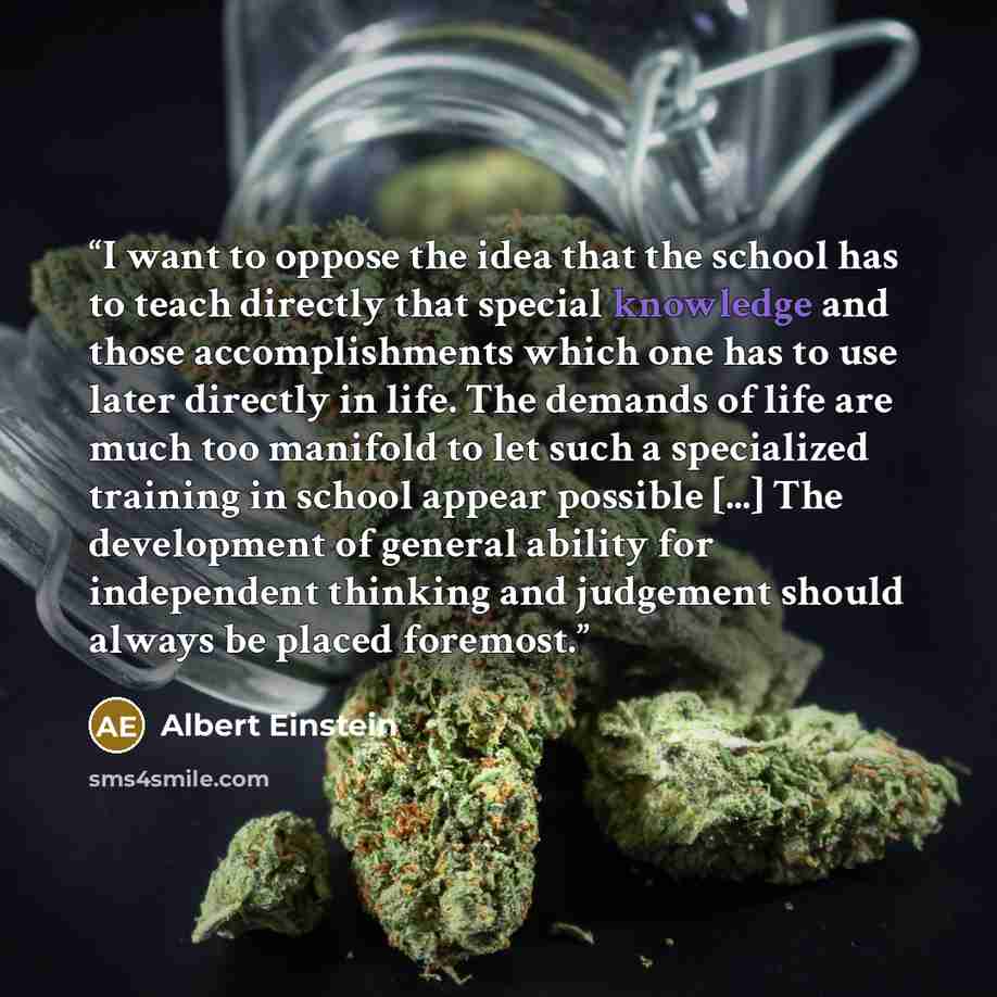 “I want to oppose the idea that the school has to teach directly that special knowledge and those accomplishments which one has to use later directly in life. The demands of life are much too manifold to let such a specialized training in school appear possible [...] The development of general…” quote by Albert Einstein