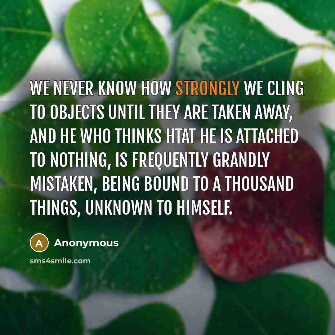 “We never know how strongly we cling to objects until they are taken away, and he who thinks htat he is attached to nothing, is frequently grandly mistaken, being bound to a thousand things, unknown to himself.” quote by Anonymous