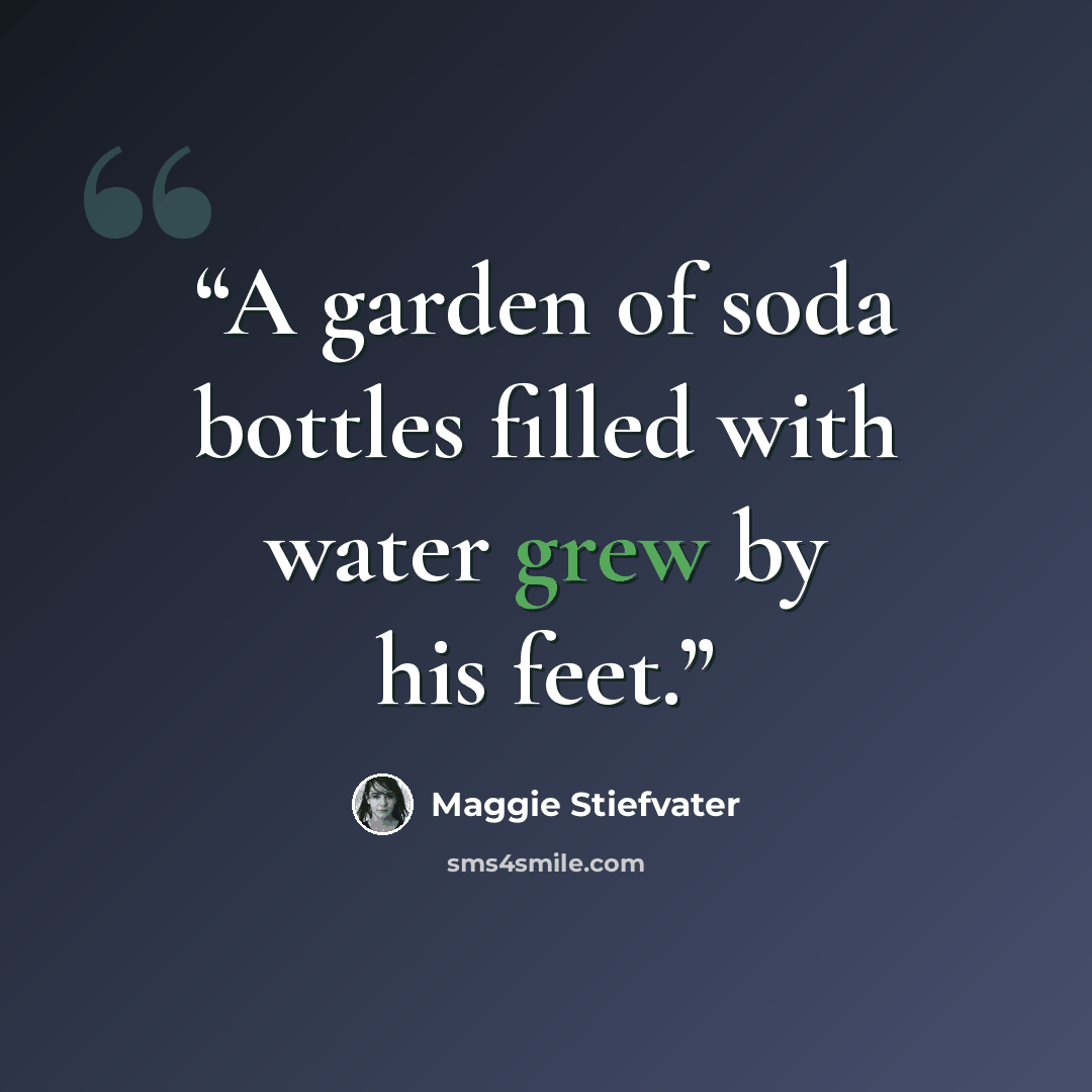 “A garden of soda bottles filled with water grew by his feet.” quote by Maggie Stiefvater